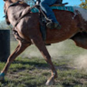 Meet your Posher, Mara